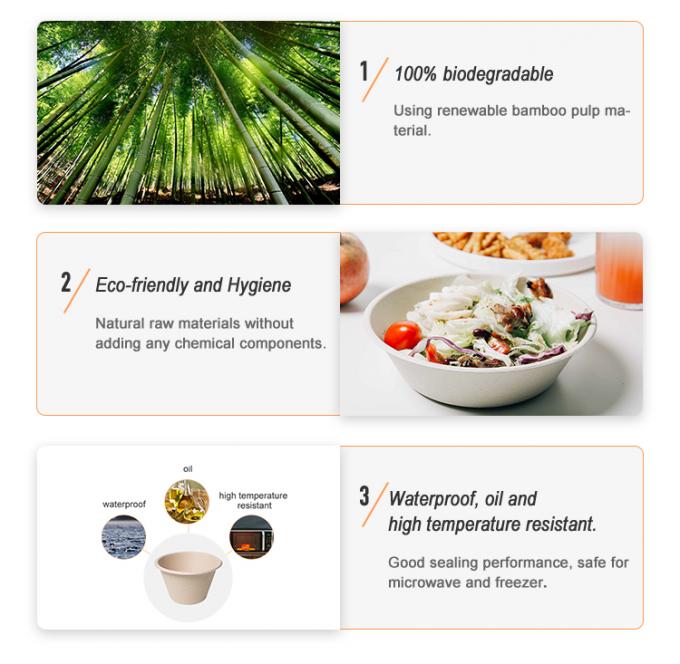 Disposable Biodegradable Take Away Pulp Sugar Cane Bagasse Bowl with Lid