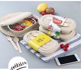 Compostable Takeout Disposable Food Containers Bagasse Lunch Box With Lid