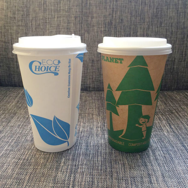 Pla Coffee Biodegradable And Compostable Tableware Paper Cups 16oz Double Wall With Lids