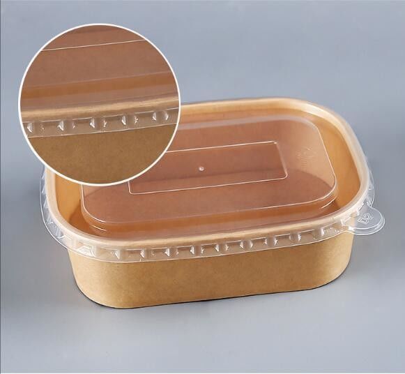 Compostable 500ml Disposable Food Containers Eco Friendly