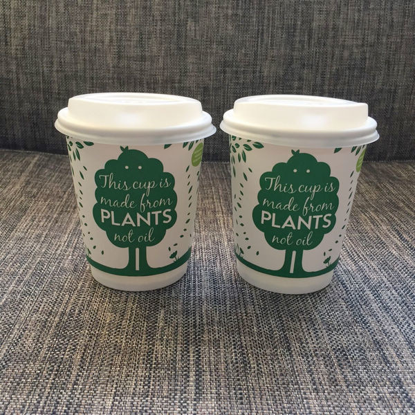 8oz Sustainable PLA Double Wall Paper Coffee Cups With Lid